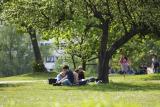 galeria_ucz