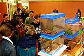 galeria_ucz