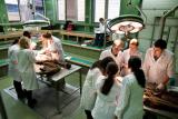 galeria_ucz