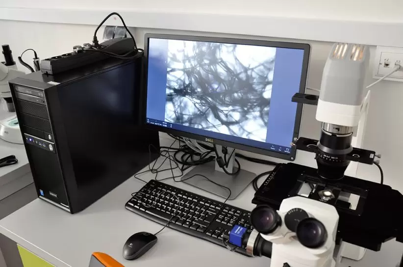 Laboratorium Grafenowe na Politechnice Warszawskiej 