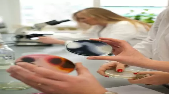 SGGW wśród najlepszych uczelni świata 