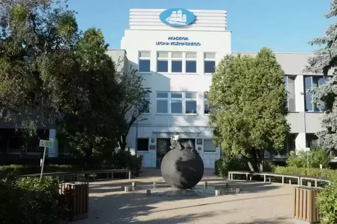 zdjecie