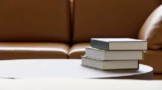 Polska literatura w Szwecji 