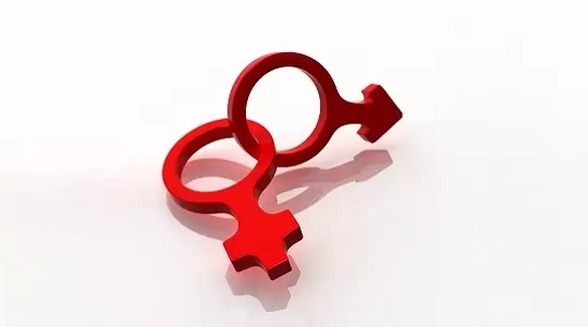 Gender zostało słowem roku 2013 