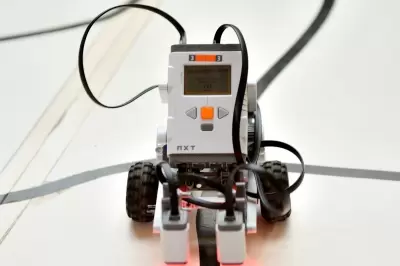 Program stażowy PRAXIS 